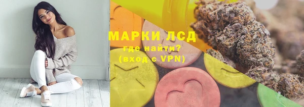 бошки Аркадак