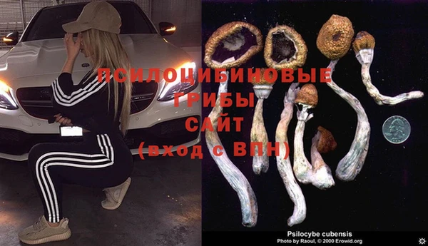бошки Аркадак