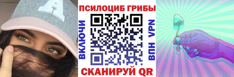 Псилоцибиновые грибы мицелий  Суворов 